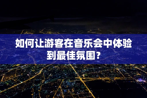 如何让游客在音乐会中体验到最佳氛围？