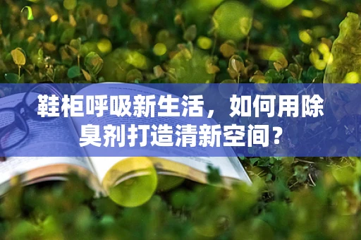 鞋柜呼吸新生活，如何用除臭剂打造清新空间？