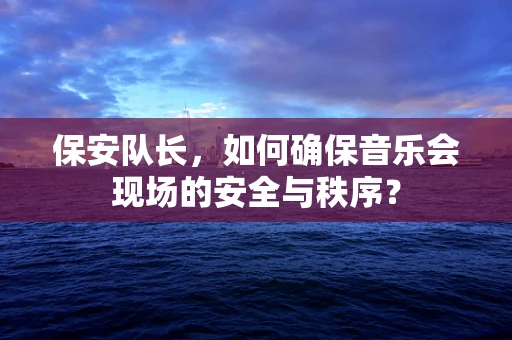 保安队长，如何确保音乐会现场的安全与秩序？