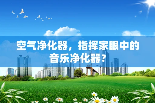 空气净化器，指挥家眼中的音乐净化器？