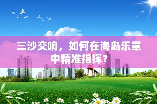 三沙交响，如何在海岛乐章中精准指挥？