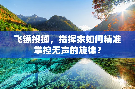 飞镖投掷，指挥家如何精准掌控无声的旋律？