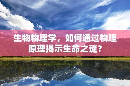 生物物理学，如何通过物理原理揭示生命之谜？