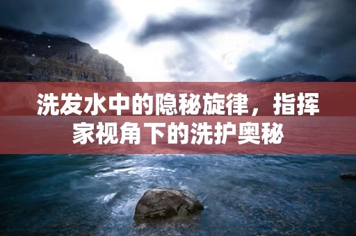 洗发水中的隐秘旋律，指挥家视角下的洗护奥秘