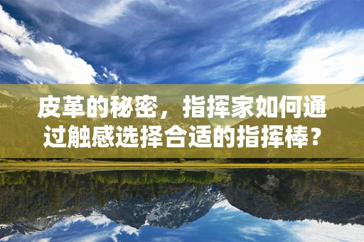 皮革的秘密，指挥家如何通过触感选择合适的指挥棒？