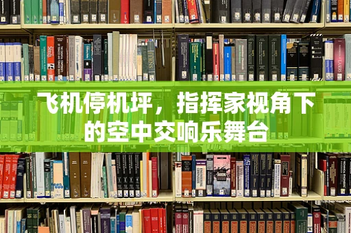 飞机停机坪，指挥家视角下的空中交响乐舞台