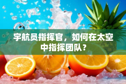 宇航员指挥官，如何在太空中指挥团队？